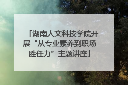 湖南人文科技学院开展“从专业素养到职场胜任力”主题讲座