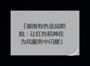 湖南有色金属职院：让红色精神在为民服务中闪耀