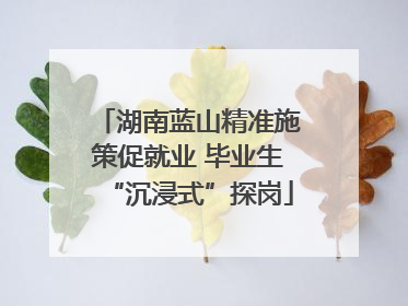 湖南蓝山精准施策促就业 毕业生“沉浸式”探岗