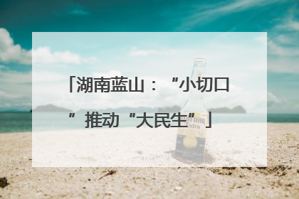 湖南蓝山：“小切口”推动“大民生”