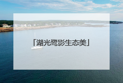湖光鹭影生态美