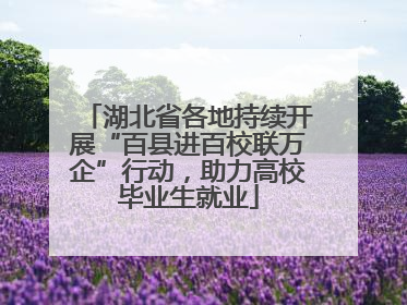 湖北省各地持续开展“百县进百校联万企”行动，助力高校毕业生就业
