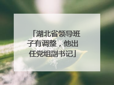 湖北省领导班子有调整，他出任党组副书记