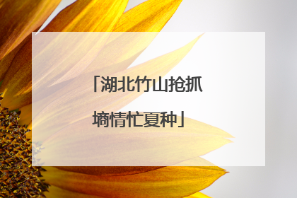 湖北竹山抢抓墒情忙夏种
