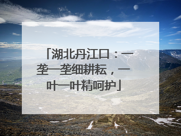 湖北丹江口：一垄一垄细耕耘，一叶一叶精呵护