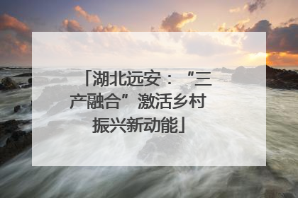 湖北远安：“三产融合”激活乡村振兴新动能