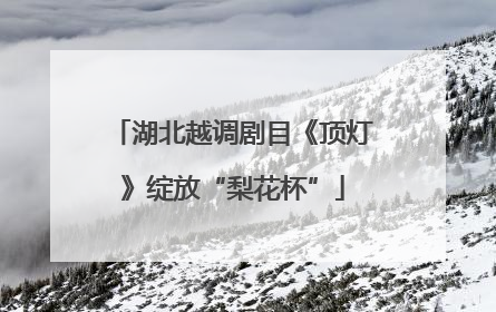湖北越调剧目《顶灯》绽放“梨花杯”