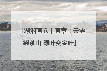 湖湘画卷｜宜章：云雾绕茶山 绿叶变金叶
