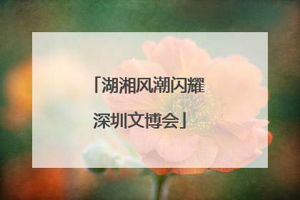 湖湘风潮闪耀深圳文博会