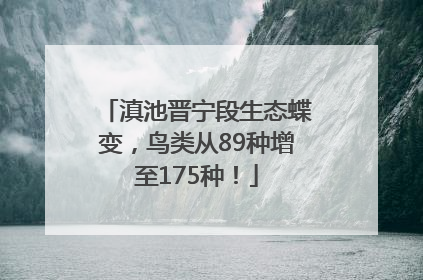滇池晋宁段生态蝶变，鸟类从89种增至175种！