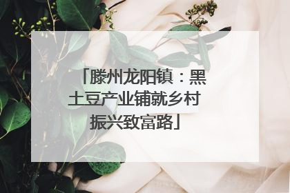滕州龙阳镇：黑土豆产业铺就乡村振兴致富路