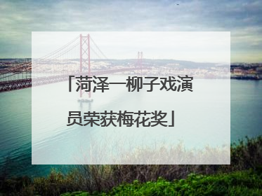 菏泽一柳子戏演员荣获梅花奖
