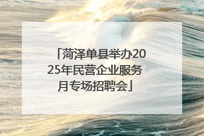 菏泽单县举办2025年民营企业服务月专场招聘会