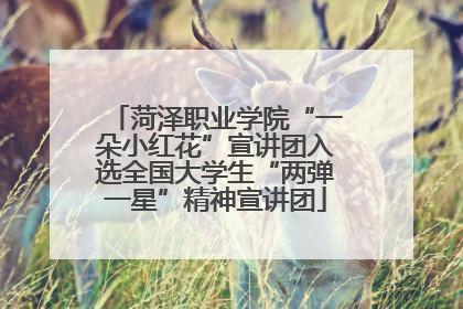 菏泽职业学院“一朵小红花”宣讲团入选全国大学生“两弹一星”精神宣讲团