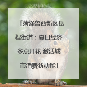 菏泽鲁西新区岳程街道：夏日经济多点开花 激活城市消费新动能