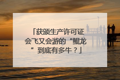 获颁生产许可证 会飞又会游的“鲲龙”到底有多牛？