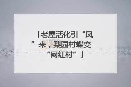 老屋活化引“凤”来，梨园村蝶变“网红村”