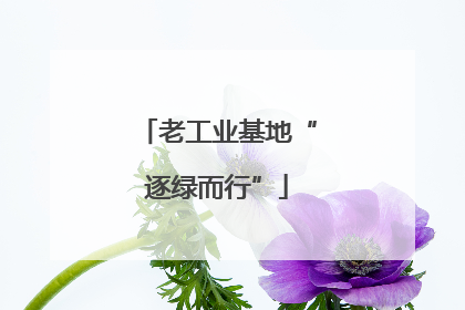 老工业基地“逐绿而行”