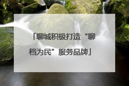 聊城积极打造“聊档为民”服务品牌
