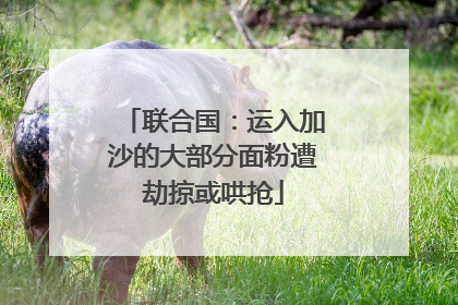 联合国：运入加沙的大部分面粉遭劫掠或哄抢
