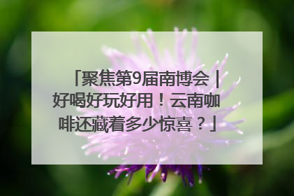 聚焦第9届南博会｜好喝好玩好用！云南咖啡还藏着多少惊喜？