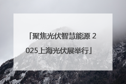 聚焦光伏智慧能源 2025上海光伏展举行