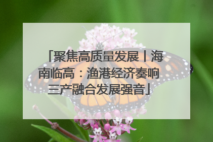 聚焦高质量发展丨海南临高：渔港经济奏响三产融合发展强音