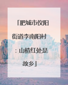 肥城市仪阳街道李南阳村：山楂红处是故乡