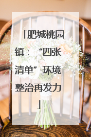 肥城桃园镇：“四张清单”环境整治再发力