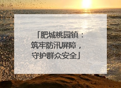 肥城桃园镇：筑牢防汛屏障，守护群众安全