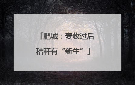 肥城：麦收过后秸秆有“新生”
