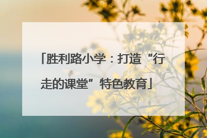 胜利路小学：打造“行走的课堂”特色教育