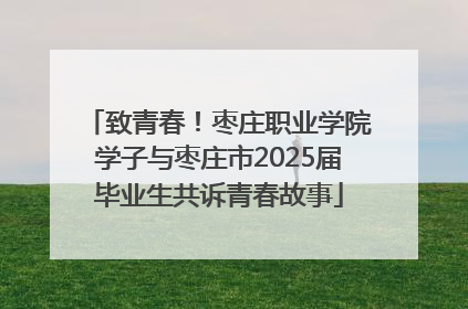 致青春！枣庄职业学院学子与枣庄市2025届毕业生共诉青春故事