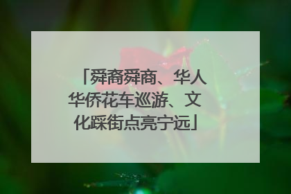 舜裔舜商、华人华侨花车巡游、文化踩街点亮宁远