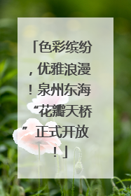 色彩缤纷，优雅浪漫！泉州东海“花瓣天桥”正式开放！