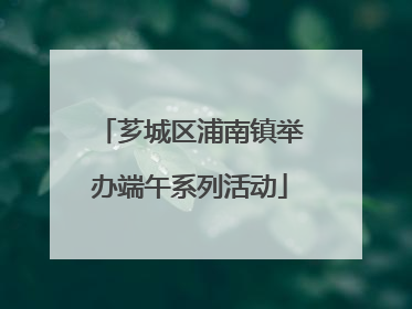 芗城区浦南镇举办端午系列活动