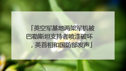英空军基地两架军机被巴勒斯坦支持者喷漆破坏，英首相和国防部发声