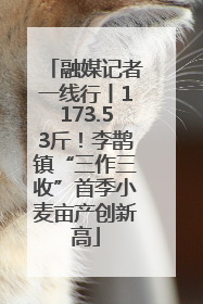 融媒记者一线行丨1173.53斤！李鹊镇“三作三收”首季小麦亩产创新高