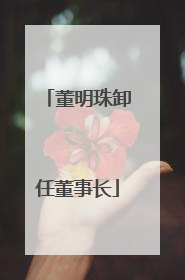 董明珠卸任董事长