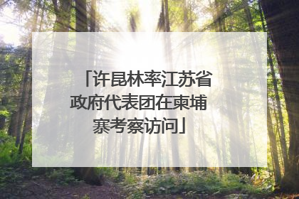 许昆林率江苏省政府代表团在柬埔寨考察访问