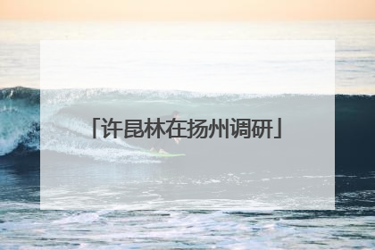 许昆林在扬州调研