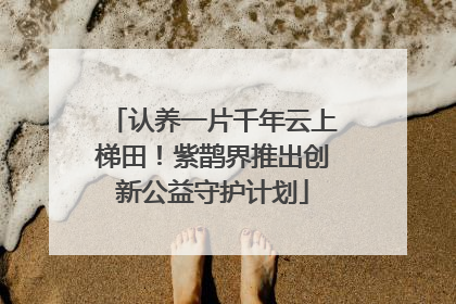 认养一片千年云上梯田！紫鹊界推出创新公益守护计划