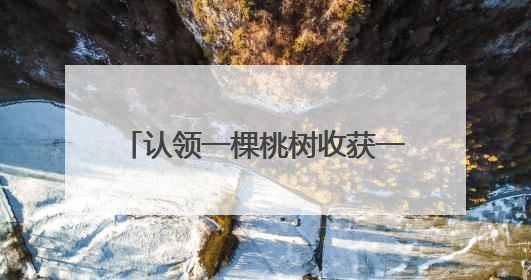认领一棵桃树收获一份甜蜜，宁乡这个村邀你成为“树主”