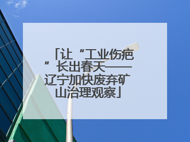 让“工业伤疤”长出春天——辽宁加快废弃矿山治理观察