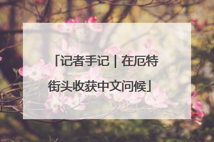 记者手记｜在厄特街头收获中文问候