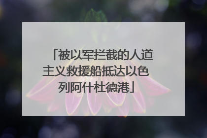 被以军拦截的人道主义救援船抵达以色列阿什杜德港
