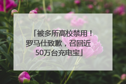 被多所高校禁用！罗马仕致歉，召回近50万台充电宝