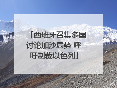 西班牙召集多国讨论加沙局势 呼吁制裁以色列