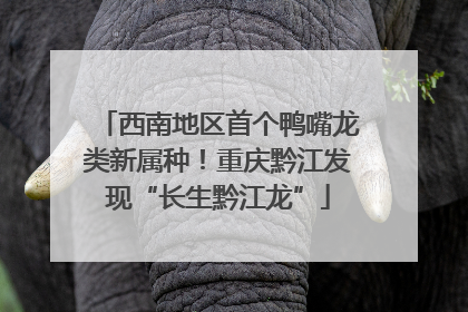 西南地区首个鸭嘴龙类新属种！重庆黔江发现“长生黔江龙”