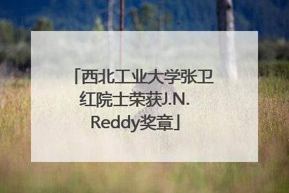 西北工业大学张卫红院士荣获J.N.Reddy奖章